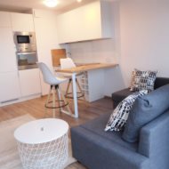 Mieszkanie na wynajem