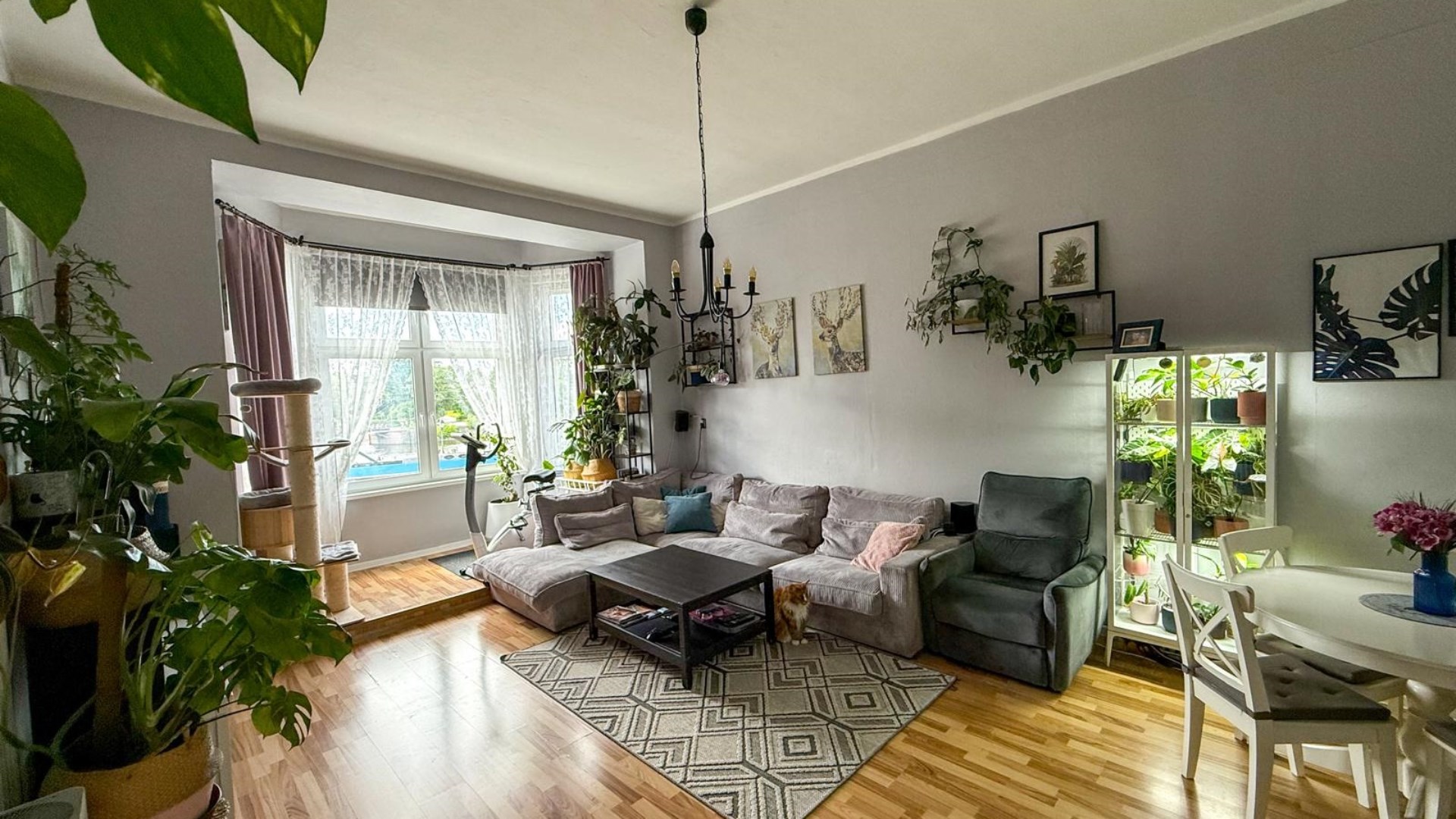 Mieszkanie na sprzedaż